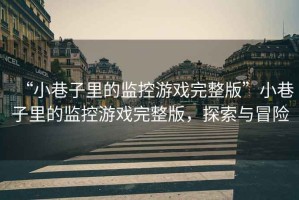 “小巷子里的監控游戲完整版”小巷子里的監控游戲完整版，探索與冒險