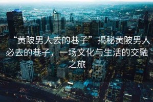 “黃陂男人去的巷子”揭秘黃陂男人必去的巷子，一場文化與生活的交融之旅