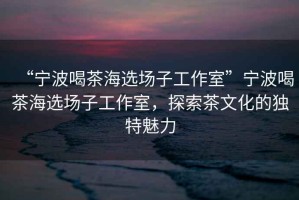 “寧波喝茶海選場子工作室”寧波喝茶海選場子工作室，探索茶文化的獨特魅力