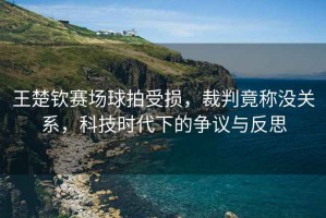 王楚欽賽場球拍受損，裁判竟稱沒關(guān)系，科技時(shí)代下的爭議與反思