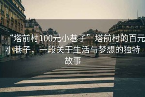“塔前村100元小巷子”塔前村的百元小巷子，一段關(guān)于生活與夢想的獨特故事