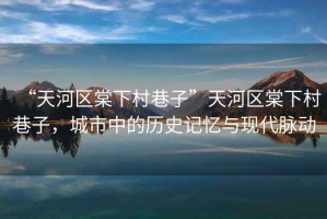 “天河區(qū)棠下村巷子”天河區(qū)棠下村巷子，城市中的歷史記憶與現(xiàn)代脈動(dòng)