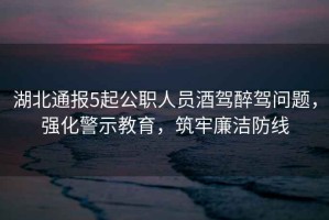 湖北通報5起公職人員酒駕醉駕問題，強化警示教育，筑牢廉潔防線