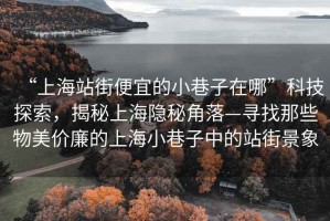 “上海站街便宜的小巷子在哪”科技探索，揭秘上海隱秘角落—尋找那些物美價廉的上海小巷子中的站街景象