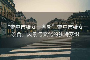 “奎屯市維女一條街”奎屯市維女一條街，風景與文化的獨特交織