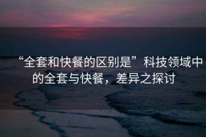 “全套和快餐的區(qū)別是”科技領(lǐng)域中的全套與快餐，差異之探討