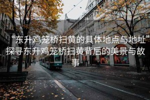 “東升雞籠橋掃黃的具體地點與地址”探尋東升雞籠橋掃黃背后的美景與故事