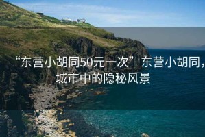 “東營(yíng)小胡同50元一次”東營(yíng)小胡同，城市中的隱秘風(fēng)景