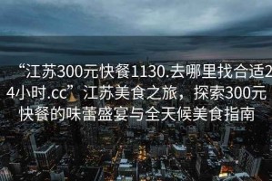 “江蘇300元快餐1130.去哪里找合適24小時.cc”江蘇美食之旅，探索300元快餐的味蕾盛宴與全天候美食指南