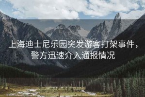 上海迪士尼樂園突發游客打架事件，警方迅速介入通報情況