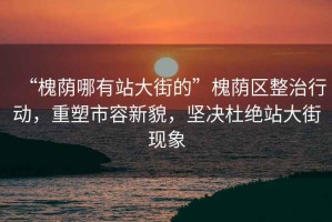 “槐蔭哪有站大街的”槐蔭區整治行動，重塑市容新貌，堅決杜絕站大街現象