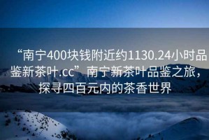 “南寧400塊錢附近約1130.24小時品鑒新茶葉.cc”南寧新茶葉品鑒之旅，探尋四百元內(nèi)的茶香世界