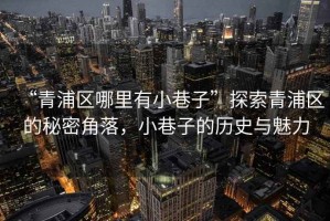“青浦區哪里有小巷子”探索青浦區的秘密角落，小巷子的歷史與魅力