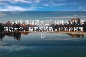 “東郊到家暗語大全”揭秘東郊到家暗語大全，探索網絡新文化的神秘面紗