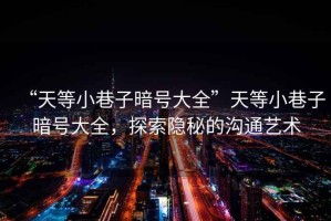 “天等小巷子暗號大全”天等小巷子暗號大全，探索隱秘的溝通藝術