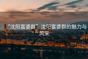 “沈陽富婆群”沈陽富婆群的魅力與風采