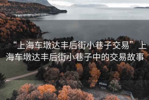 “上海車墩達豐后街小巷子交易”上海車墩達豐后街小巷子中的交易故事