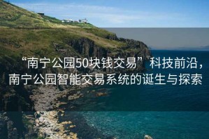 “南寧公園50塊錢交易”科技前沿，南寧公園智能交易系統的誕生與探索