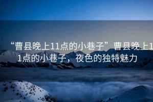 “曹縣晚上11點(diǎn)的小巷子”曹縣晚上11點(diǎn)的小巷子，夜色的獨(dú)特魅力