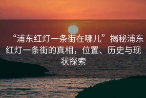 “浦東紅燈一條街在哪兒”揭秘浦東紅燈一條街的真相，位置、歷史與現狀探索