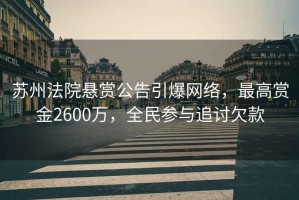 蘇州法院懸賞公告引爆網絡，最高賞金2600萬，全民參與追討欠款