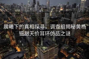 晨曦下的真相探尋，調查組揭秘黃楊鈿甜天價耳環仿品之謎
