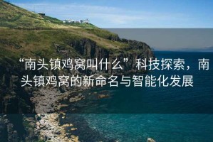 “南頭鎮(zhèn)雞窩叫什么”科技探索，南頭鎮(zhèn)雞窩的新命名與智能化發(fā)展