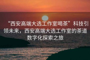 “西安高端大選工作室喝茶”科技引領未來，西安高端大選工作室的茶道數字化探索之旅
