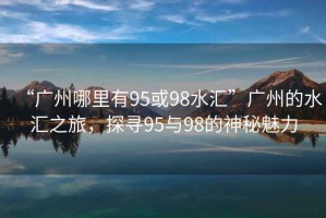 “廣州哪里有95或98水匯”廣州的水匯之旅，探尋95與98的神秘魅力