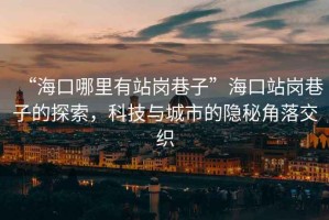 “?？谀睦镉姓緧徬镒印焙？谡緧徬镒拥奶剿?，科技與城市的隱秘角落交織