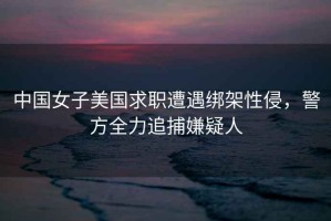 中國女子美國求職遭遇綁架性侵，警方全力追捕嫌疑人
