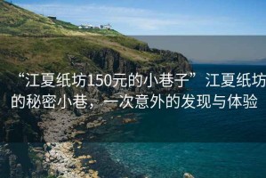 “江夏紙坊150元的小巷子”江夏紙坊的秘密小巷，一次意外的發現與體驗
