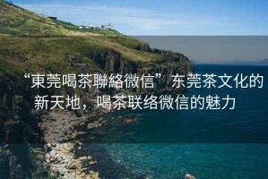 “東莞喝茶聯絡微信”東莞茶文化的新天地，喝茶聯絡微信的魅力