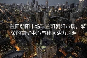 “益陽朝陽市場”益陽朝陽市場，繁榮的商貿中心與社區活力之源