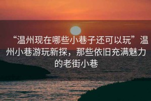“溫州現在哪些小巷子還可以玩”溫州小巷游玩新探，那些依舊充滿魅力的老街小巷