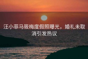 汪小菲馬筱梅度假照曝光，婚禮未取消引發(fā)熱議