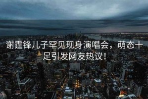 謝霆鋒兒子罕見(jiàn)現(xiàn)身演唱會(huì)，萌態(tài)十足引發(fā)網(wǎng)友熱議！