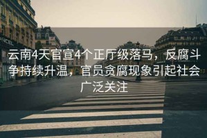 云南4天官宣4個正廳級落馬，反腐斗爭持續升溫，官員貪腐現象引起社會廣泛關注