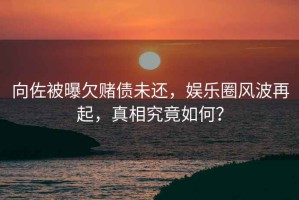 向佐被曝欠賭債未還，娛樂圈風波再起，真相究竟如何？