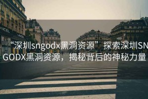 “深圳sngodx黑洞資源”探索深圳SNGODX黑洞資源，揭秘背后的神秘力量