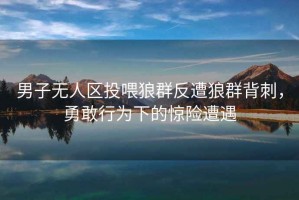 男子無人區(qū)投喂狼群反遭狼群背刺，勇敢行為下的驚險遭遇