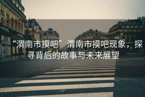 “渭南市摸吧”渭南市摸吧現(xiàn)象，探尋背后的故事與未來(lái)展望