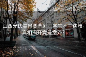 山西光伏美景變悲劇，學生不幸遇難，真相揭開竟是意外？