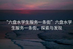 “六盤水學生服務一條街”六盤水學生服務一條街，探索與發現
