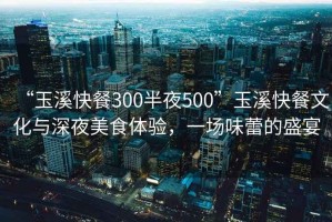 “玉溪快餐300半夜500”玉溪快餐文化與深夜美食體驗，一場味蕾的盛宴