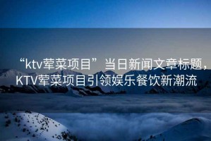 “ktv葷菜項目”當日新聞文章標題，KTV葷菜項目引領娛樂餐飲新潮流