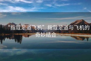 “指蔻足道飛機”指蔻足道與飛機的奇妙結(jié)合