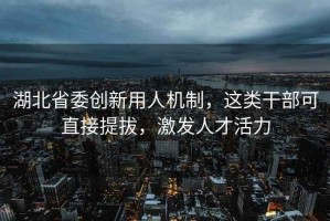 湖北省委創新用人機制，這類干部可直接提拔，激發人才活力