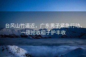 臺風山竹逼近，廣東男子緊急行動，一夜搶收稻子護豐收