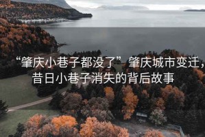 “肇慶小巷子都沒了”肇慶城市變遷，昔日小巷子消失的背后故事